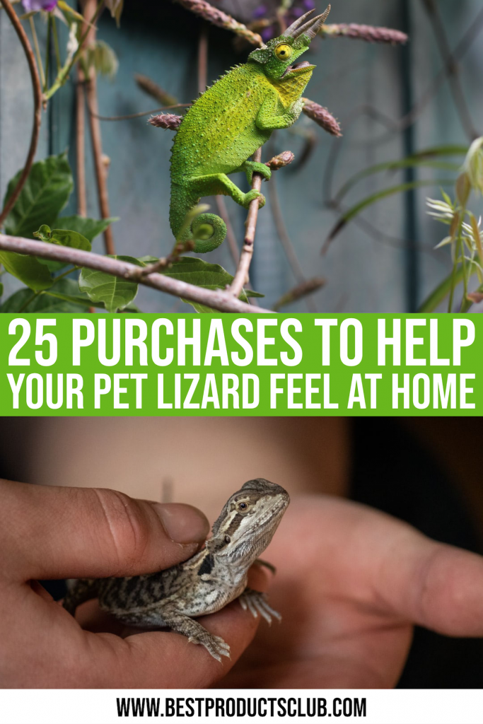 25 Purchases To Help Your Pet Lizard Feel At Home