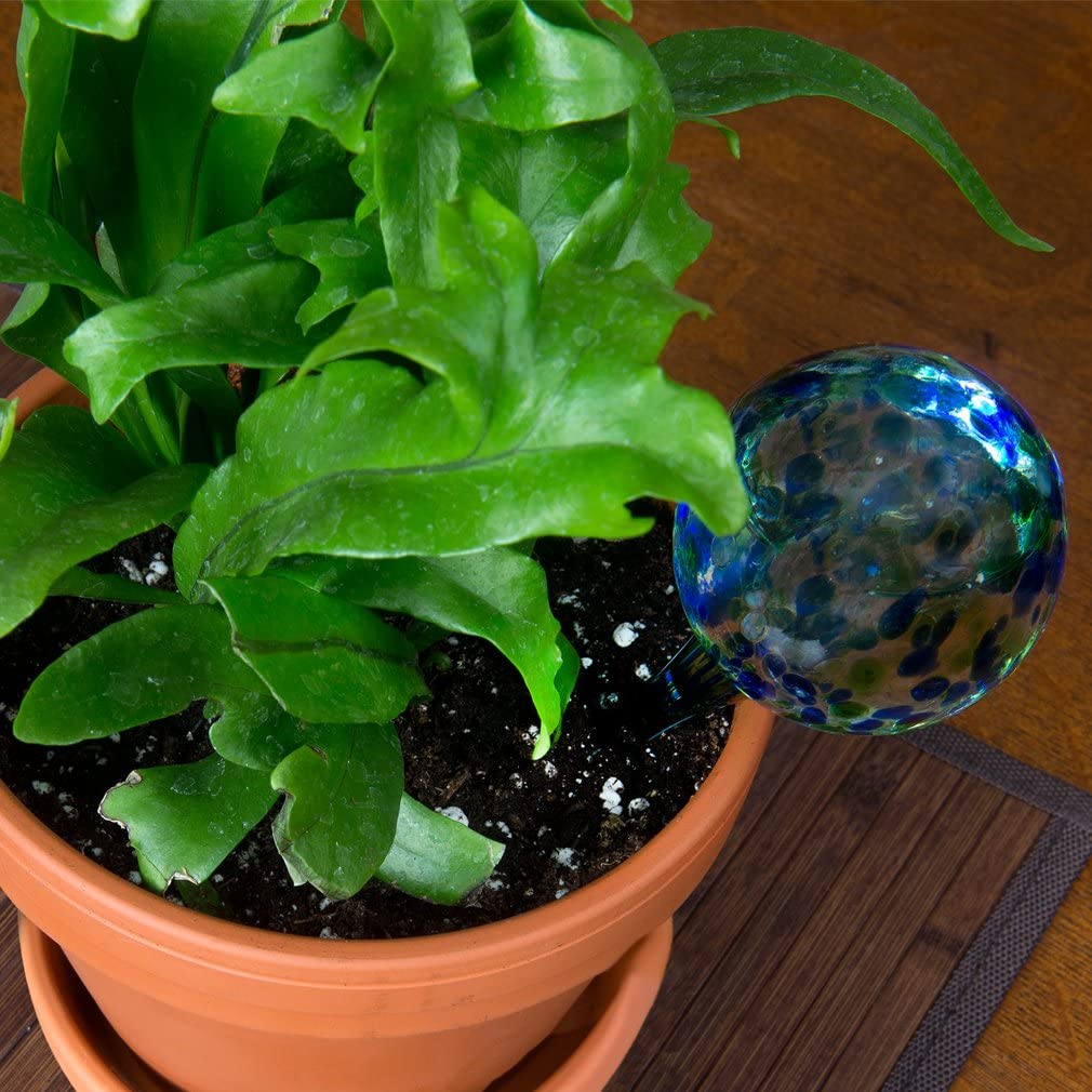 25 Perfect Plant Gifts For Nature Lovers