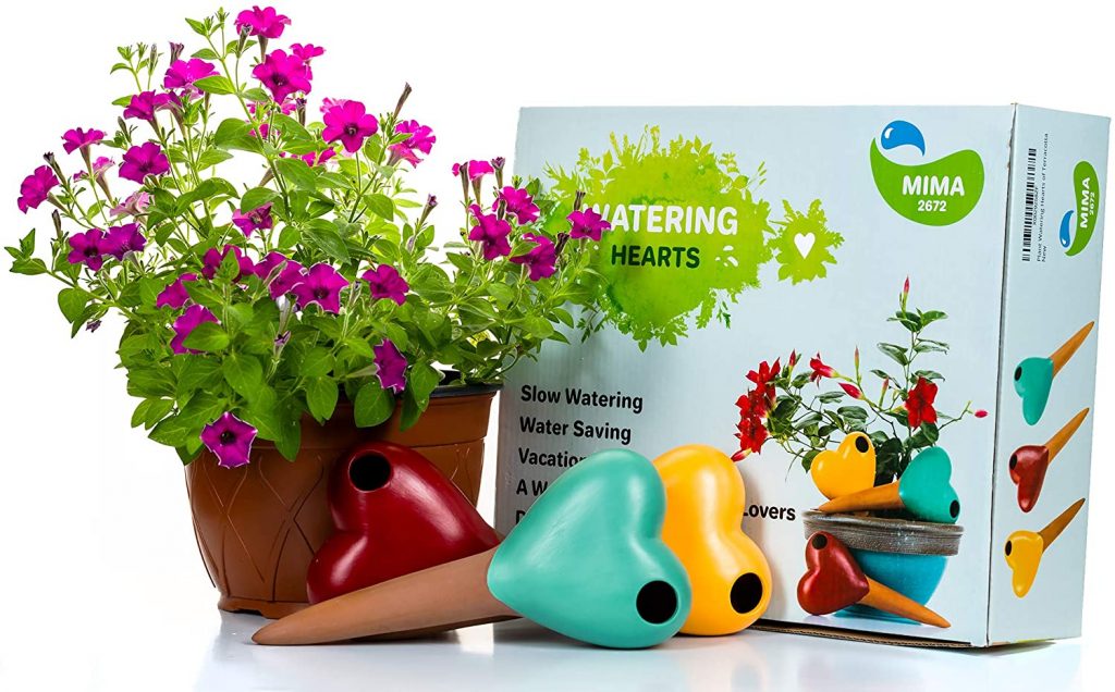 25 Perfect Plant Gifts For Nature Lovers