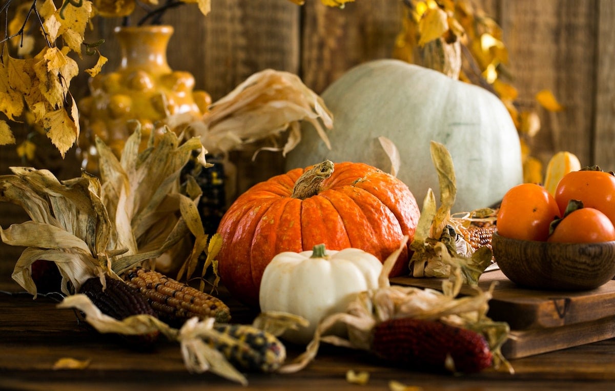 6 Surprising Facts About The Origin Of Thanksgiving You Didn't Learn In ...