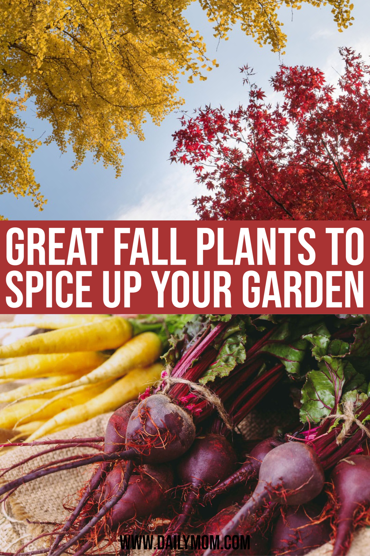 10 Great Fall Plants To Spice Up Your Garden-dailymom-parent-portal