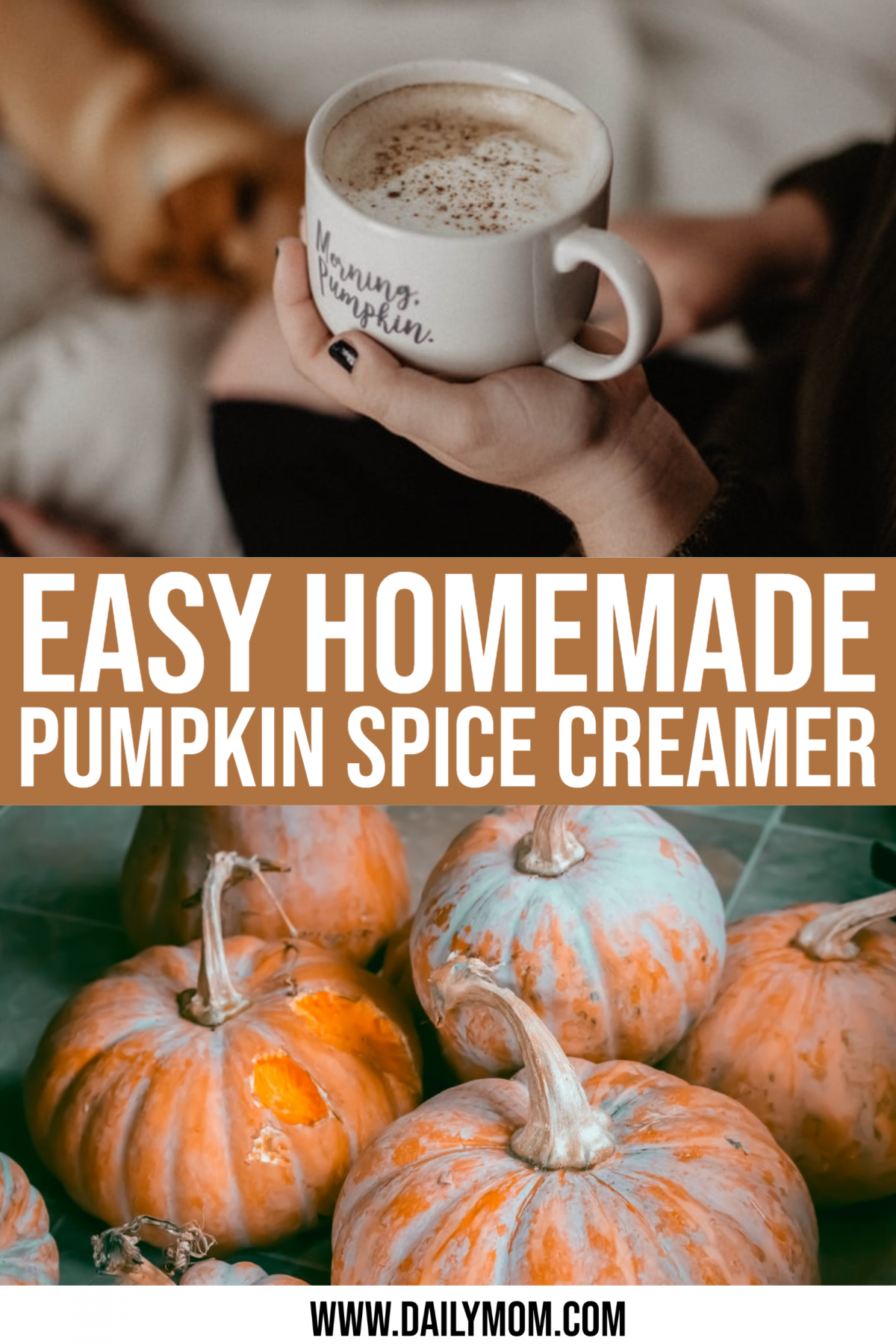 Easy Homemade Pumpkin Spice Creamer