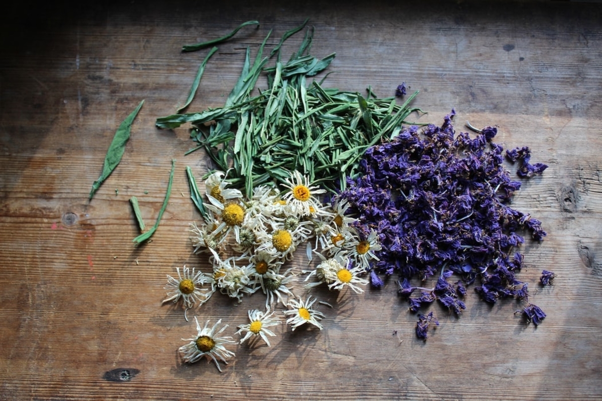 Chamomile Benefits: It Is More Than Just Tea