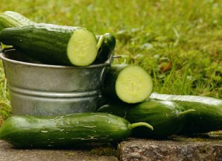 Cucumber Juice: 7 Amazing Superpowers