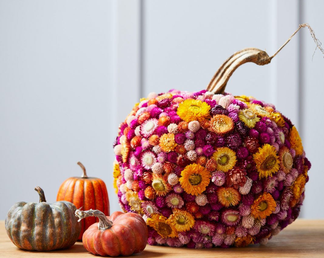 Easy Pumpkin Ideas Mak Stick Image