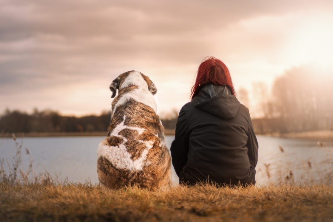Pet Resorts: Everything You Need To Know Pet Resorts: Everything You Need To Know