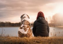 Pet Resorts: Everything You Need To Know