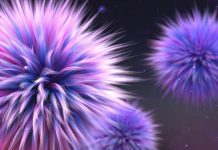 Building Truffula Trees: 9 Easy Steps To Bring Seussland to LIFE! Building Truffula Trees: 9 Easy Steps To Bring Seussland To Life!