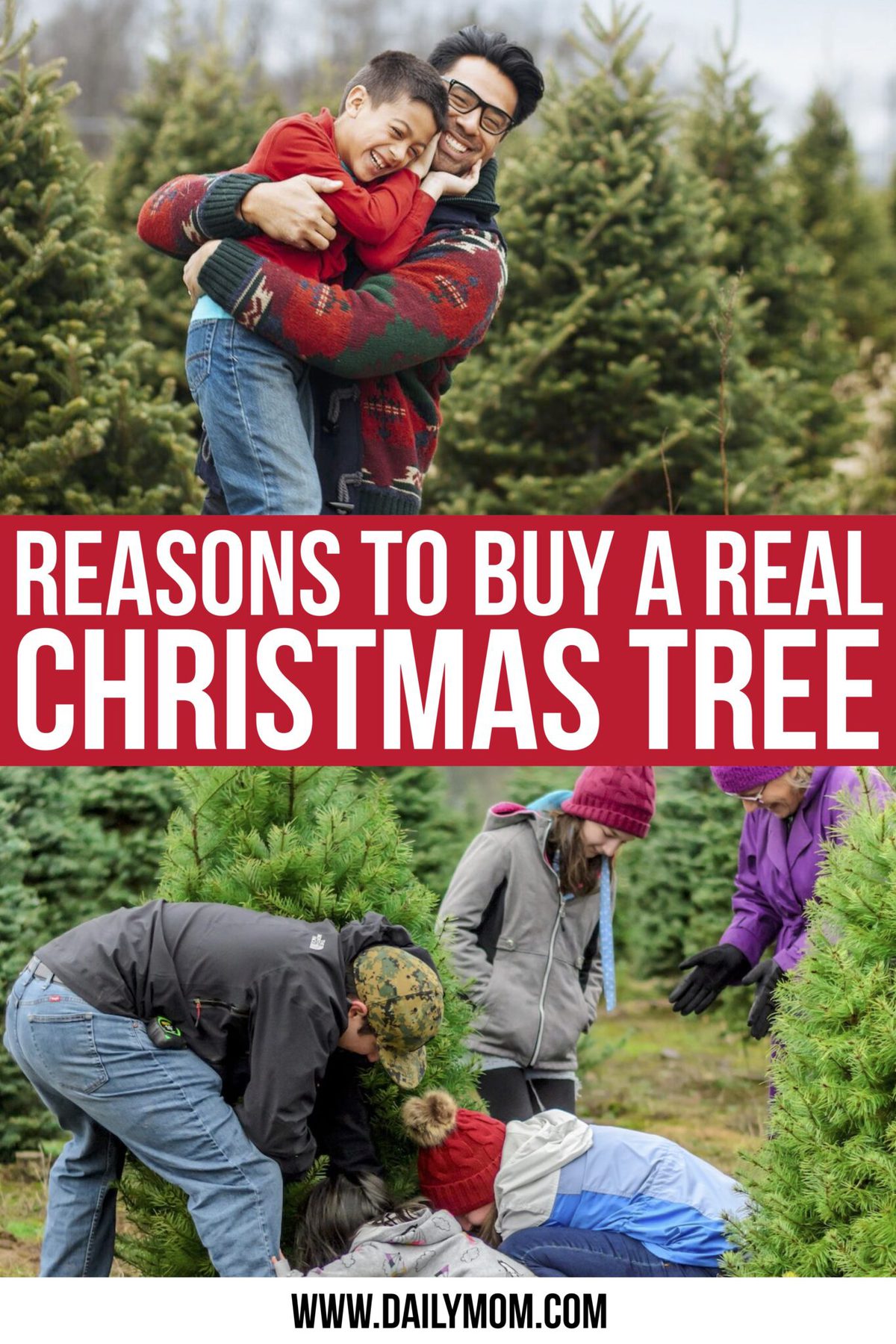 Buying A Real Christmas Tree And Why You Should Ditch Your Fake One ...