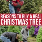 Buying A Real Christmas Tree And Why You Should Ditch Your Fake One