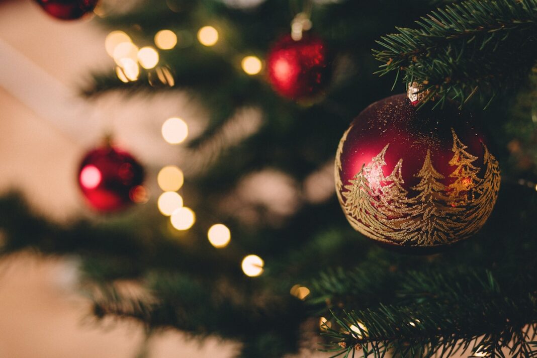 Buying A Real Christmas Tree And Why You Should Ditch Your Fake One Buying A Real Christmas Tree And Why You Should Ditch Your Fake One
