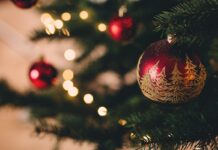 Buying A Real Christmas Tree And Why You Should Ditch Your Fake One