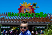 Visiting San Diego: 6 Fun Places To Take Your Kids