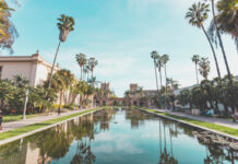 Visiting San Diego: 6 Fun Places To Take Your Kids