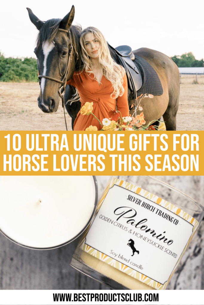 10 Ultra Unique Gifts For A Horse Lover