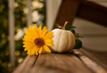 How To: Decorate For Thanksgiving With Intention And Simplicity