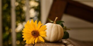 How To Decorate For A Simple Thanksgiving