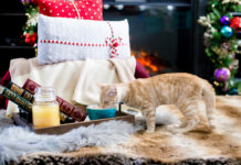 17 Holiday Gifts For Pet Lovers That Are 4 Paws Approved