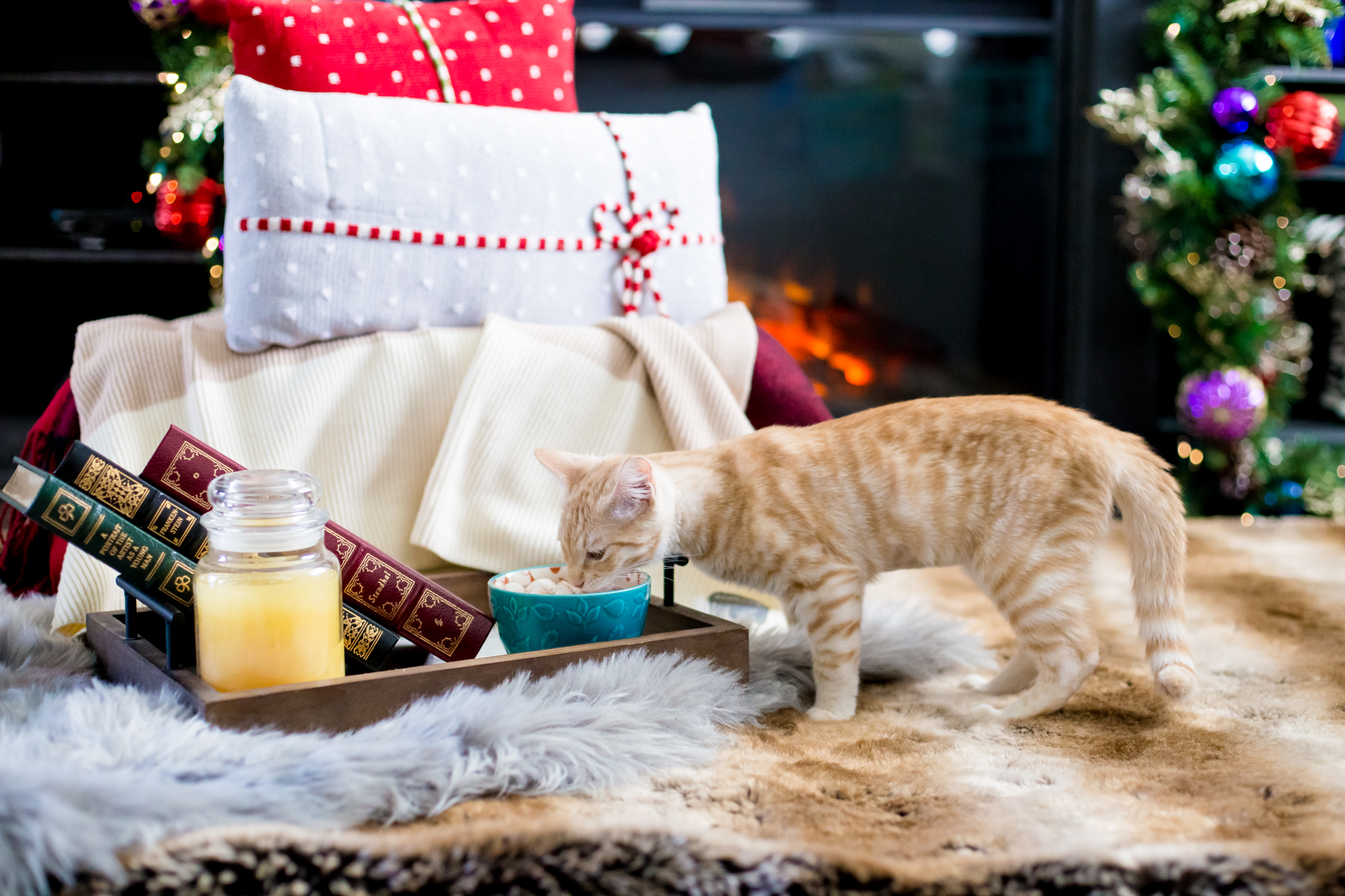 17 Holiday Gifts For Pet Lovers That Are 4 Paws Approved