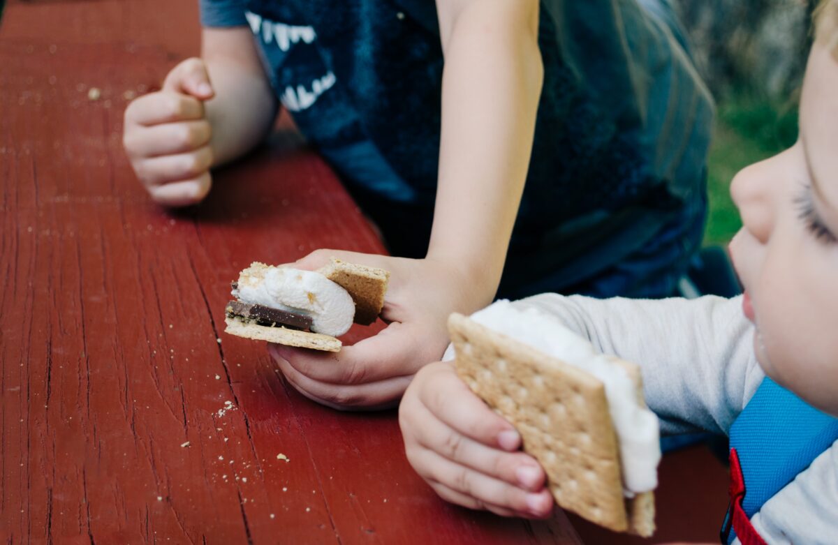 Dessert Ideas: Helpful Tips To Minimize Your Child’S Fixation