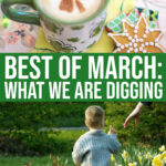 Spring Garden: 20 Things We Are Digging For March {2021}