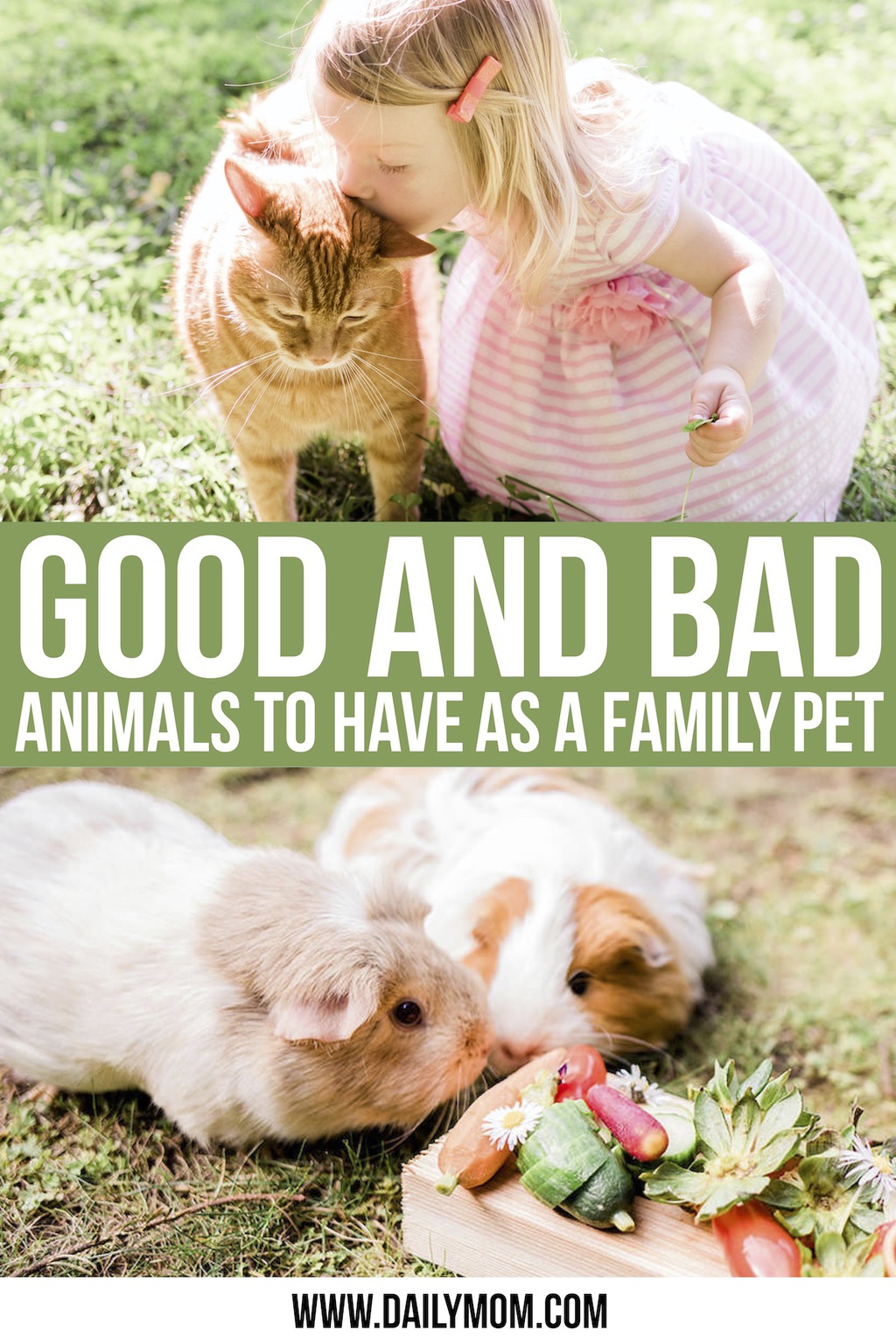 Finding A Family Pet: Animals That Are A Great Fit And Ones To Avoid