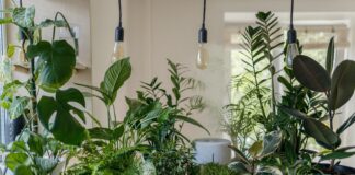 How To Create A Simple Indoor Garden And Gather Wellness Benefits