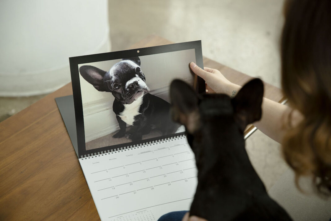 2 Winners Will Win A Print Custom Calendar: Motif Giveaway!