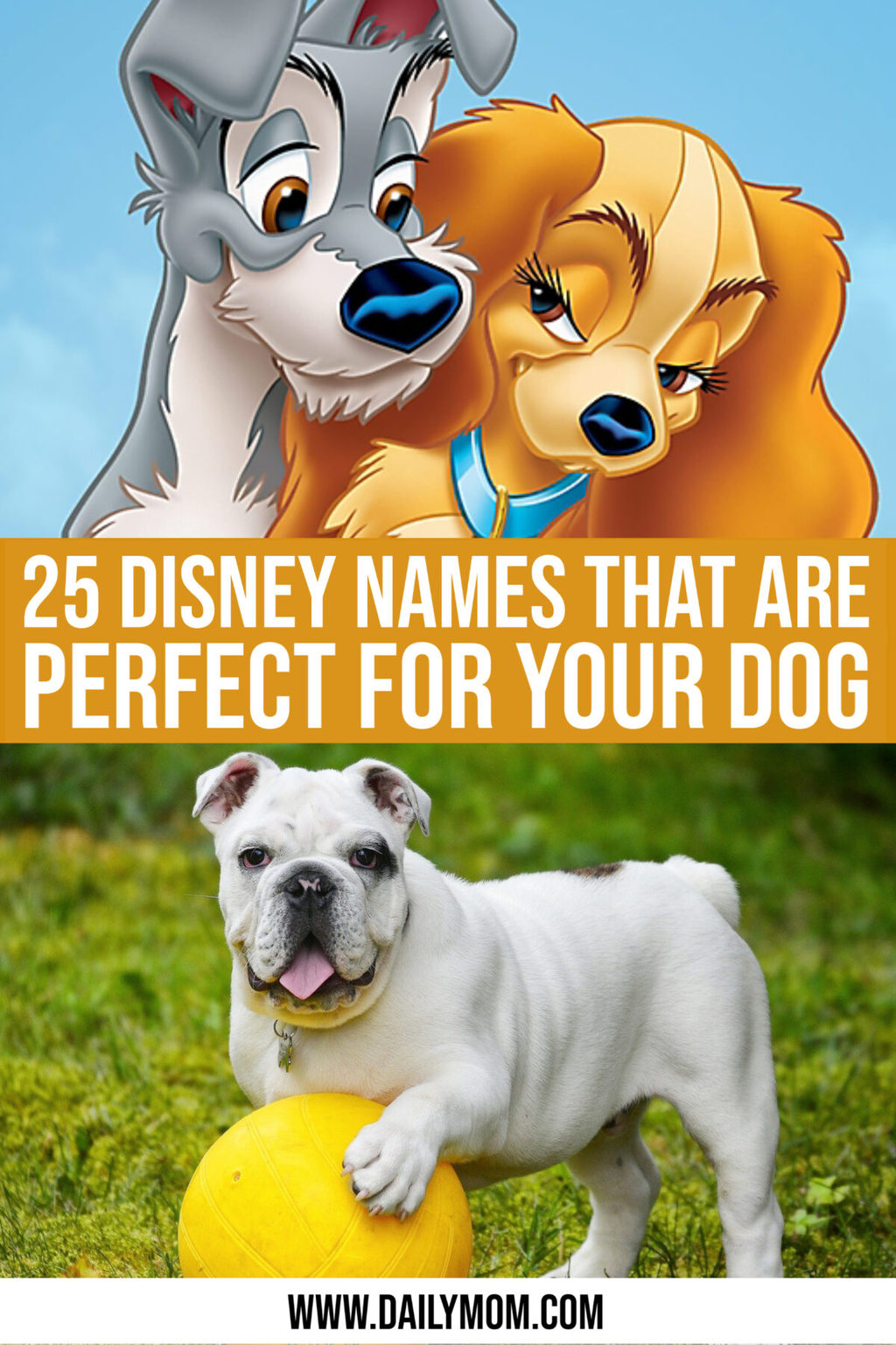25 Underrated Disney Names For Dogs You\'ll Definitely Want to Use ...