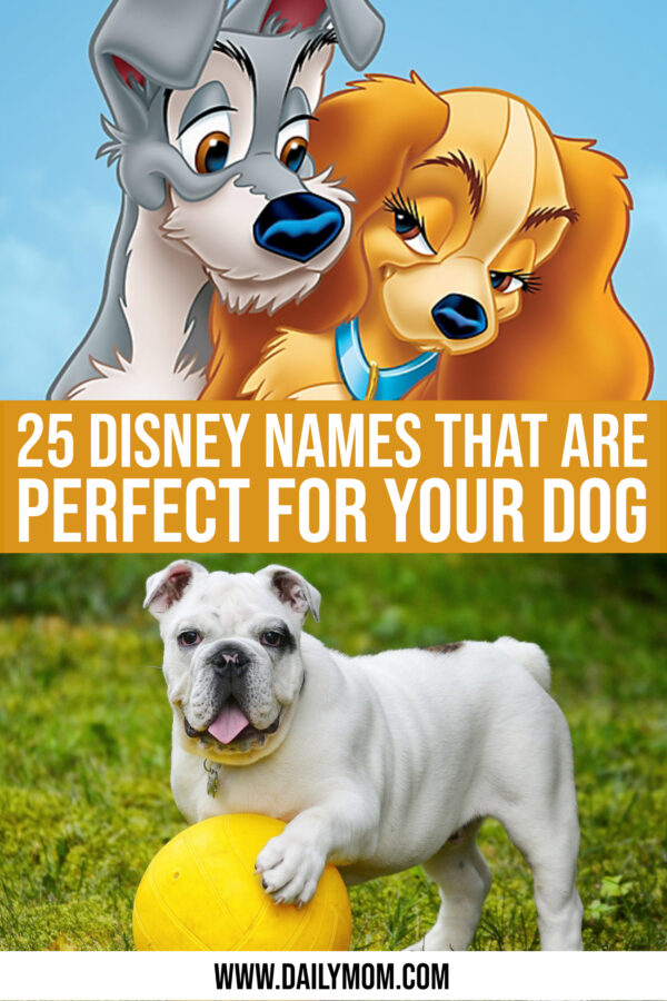 25 Underrated Disney Names For Dogs You'll Definitely Want To Use ...