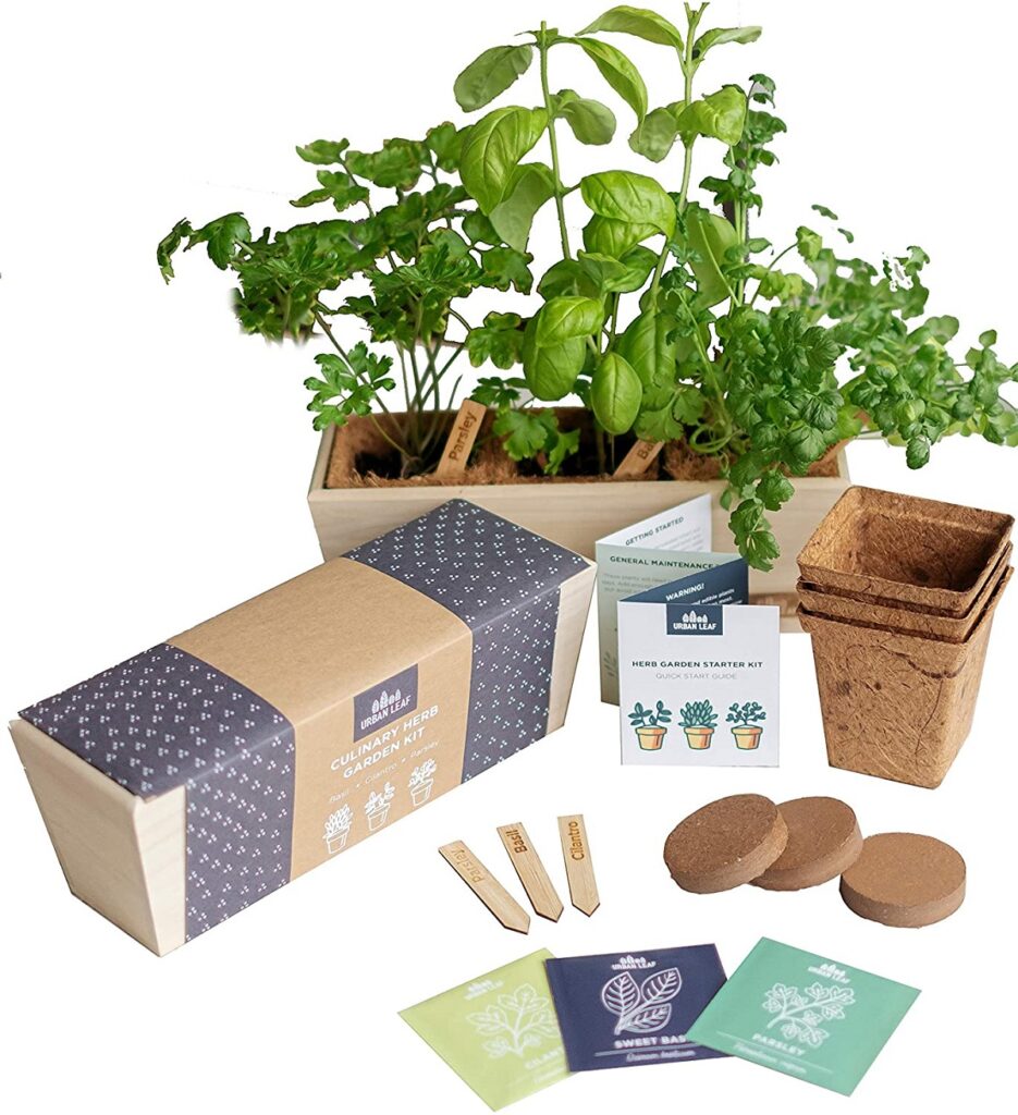 Best-Products-Club-Eco-Friendly Products To Sustain Your Home And The Environment