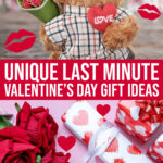 Unique Last Minute Ideas For Valentine’s Day Gift Guide