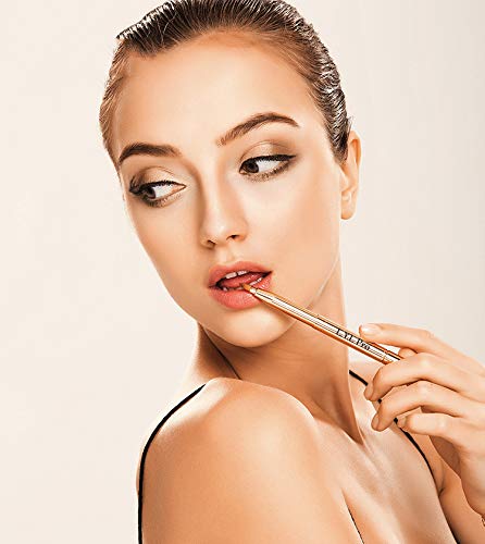 25 Best Makeup Brushes On Amazon