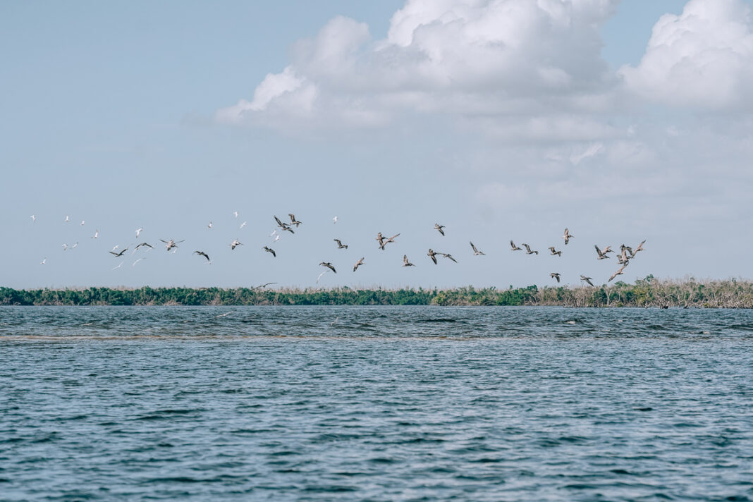 4 Family Water Activities Not To Miss When In Naples, Florida 4 Family Water Activities Not To Miss When In Naples, Florida