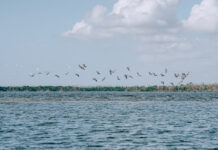 4 Family Water Activities Not To Miss When In Naples, Florida