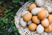 17 Stylish Accessories To Put In An Easter Basket For Adults