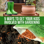 Gardening With Kids: 5 Fun Ways To Get Your Kids Involved