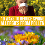10 Ways To Reduce Spring Allergies From Guaranteed Pollen