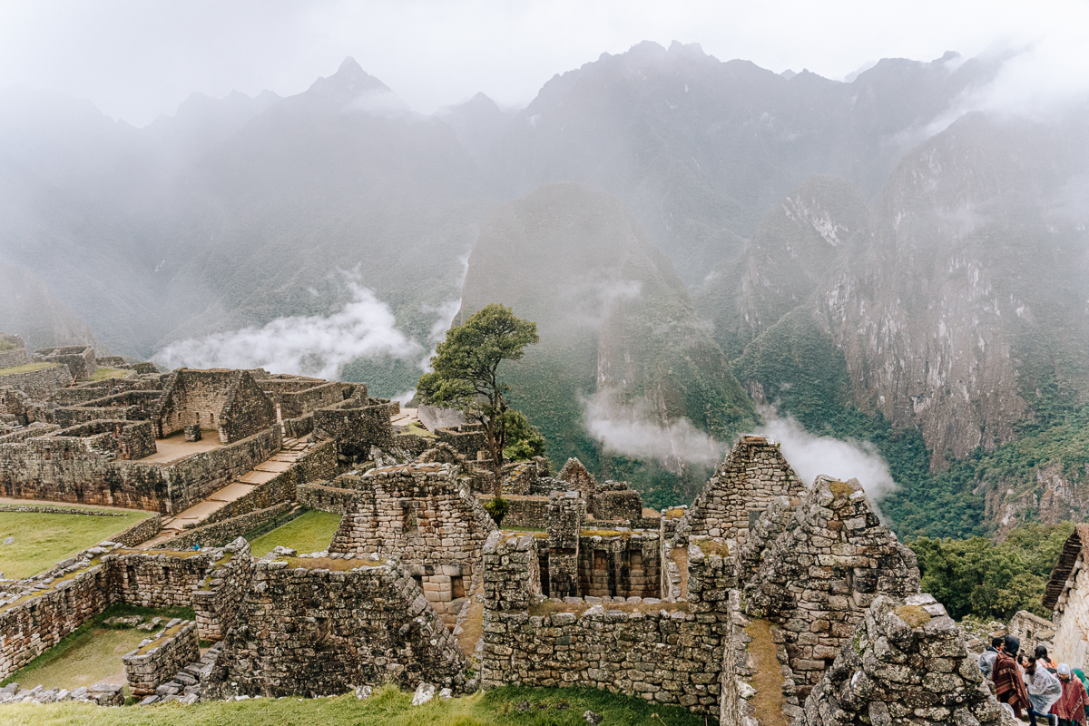 Alpaca Expeditions: 10+ Best Tours To Machu Picchu