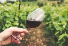 Shopping for Japanese Wines with Live Iwakuni Winery 2048x1365 1
