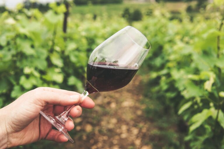 Winery 2048x1365 1