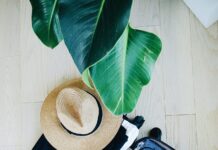 10 Of The Best Essentials For Cruising