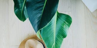 10 Of The Best Essentials For Cruising