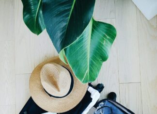10 Of The Best Essentials For Cruising 10 Of The Best Essentials For Cruising