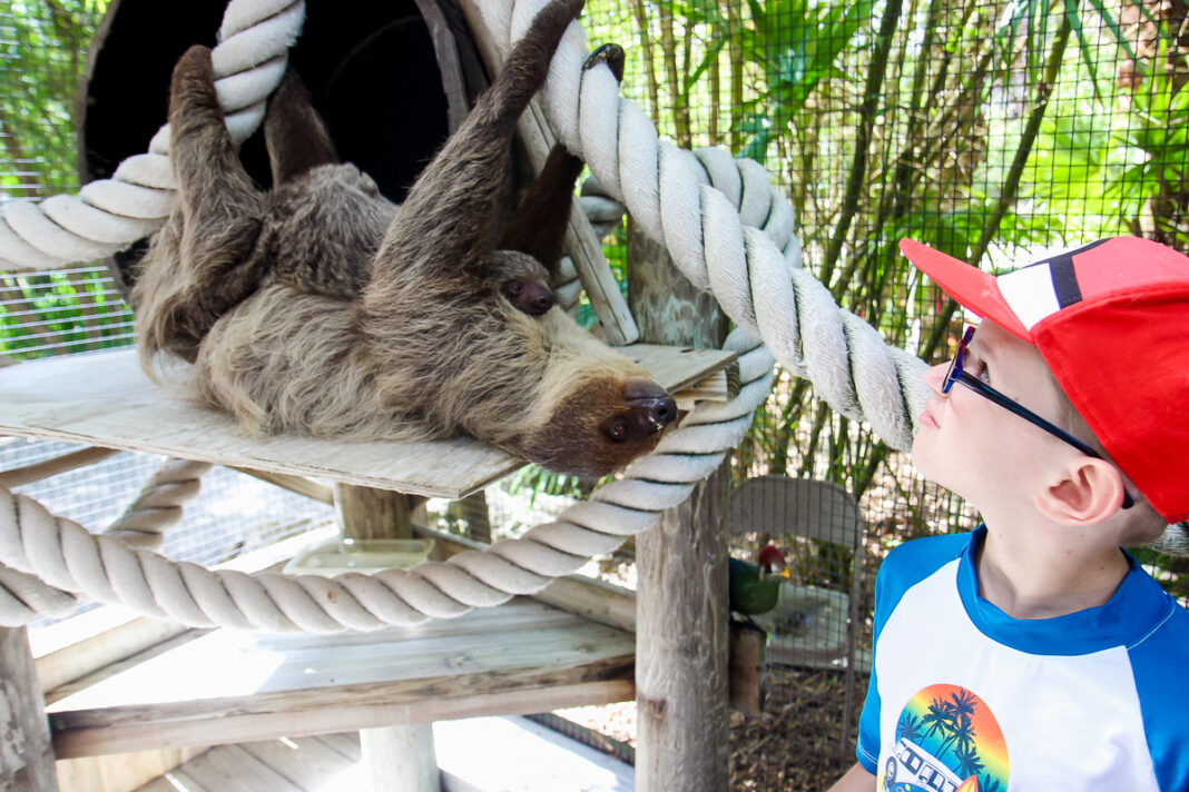 6 Things To Do In Kissimmee For An Epic Family Adventure