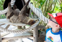 6 Things to Do in Kissimmee For an Epic Family Adventure 6 Things To Do In Kissimmee For An Epic Family Adventure