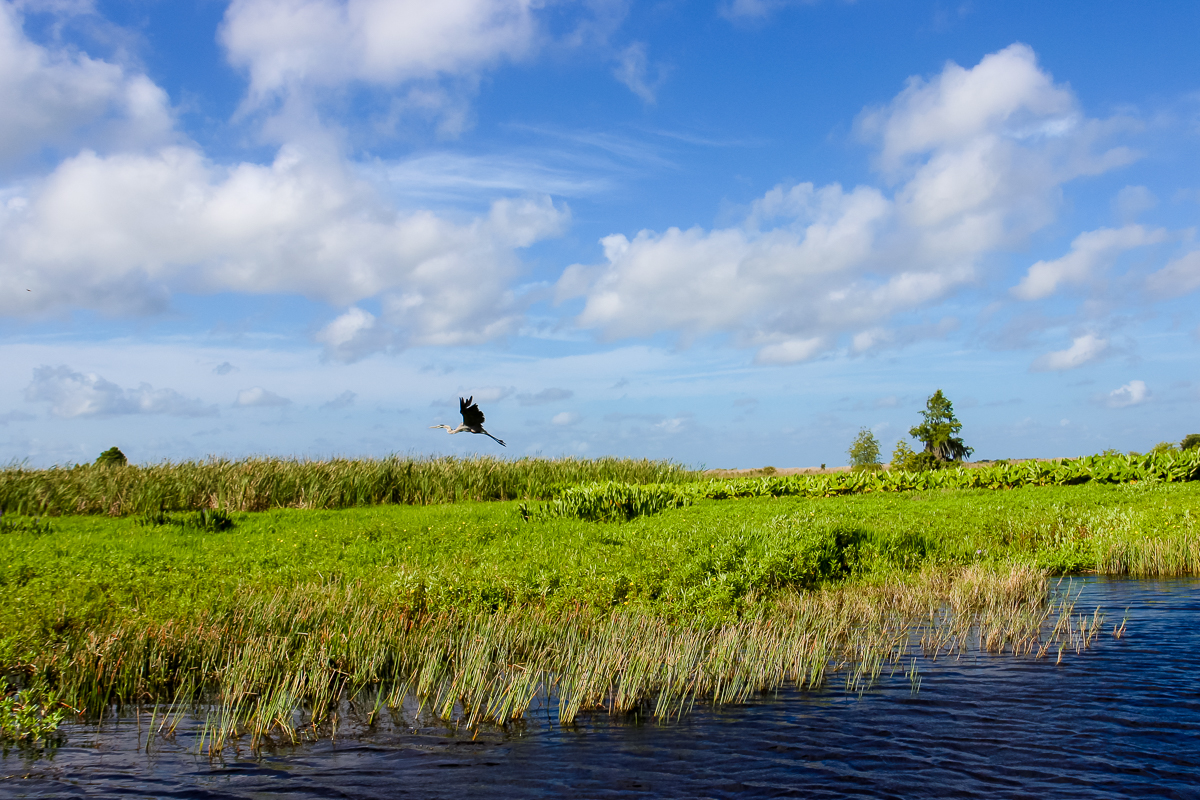 6 Things To Do In Kissimmee For An Epic Family Adventure