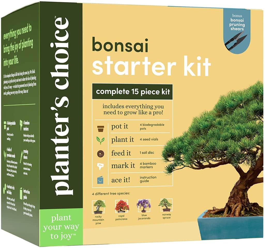 Bonsai Starter Kit - DIY Bonsai Growing Gift - Garden Hobbies for Adults,  Women & Men : 4 Unique Tree Seeds, Soil, Pots, Pruning Shears, Plant  Markers
