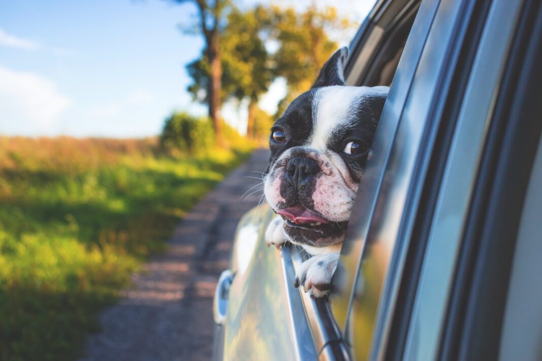 Protect Your Family’s Health With Cabin Air Filters In Cars: With 1 Simple Switch