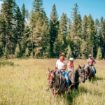 Bar W Ranch, A Family Dude Ranch In Whitefish, Montana